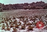 Image of alcohol taxes United States USA, 1953, second 57 stock footage video 65675026149