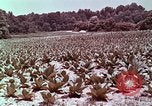 Image of alcohol taxes United States USA, 1953, second 59 stock footage video 65675026149