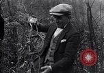 Immagine di Luna shine Suffolk Virginia USA, 1921, secondo 21 filmato di repertorio 65675026151