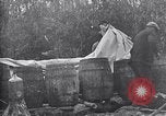 Immagine di Luna shine Suffolk Virginia USA, 1921, secondo 55 filmato di repertorio 65675026151