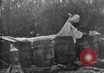 Immagine di Luna shine Suffolk Virginia USA, 1921, secondo 56 filmato di repertorio 65675026151
