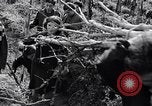 Image of people evacuating during Mount Vesuvius eruption Naples Italy, 1944, second 22 stock footage video 65675026169