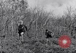 Image of people evacuating during Mount Vesuvius eruption Naples Italy, 1944, second 26 stock footage video 65675026169
