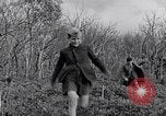 Image of people evacuating during Mount Vesuvius eruption Naples Italy, 1944, second 27 stock footage video 65675026169