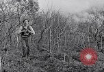Image of people evacuating during Mount Vesuvius eruption Naples Italy, 1944, second 31 stock footage video 65675026169