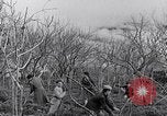 Image of people evacuating during Mount Vesuvius eruption Naples Italy, 1944, second 32 stock footage video 65675026169