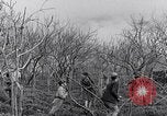 Image of people evacuating during Mount Vesuvius eruption Naples Italy, 1944, second 33 stock footage video 65675026169