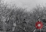 Image of people evacuating during Mount Vesuvius eruption Naples Italy, 1944, second 34 stock footage video 65675026169