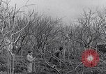 Image of people evacuating during Mount Vesuvius eruption Naples Italy, 1944, second 35 stock footage video 65675026169