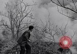 Immagine di Il Monte Vesuvio Napoli Italia, 1944, secondo 38 filmato di repertorio 65675026173