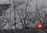 Immagine di Il Monte Vesuvio Napoli Italia, 1944, secondo 46 filmato di repertorio 65675026173