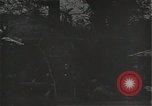 Image of Leyte operation Philippines, 1944, second 36 stock footage video 65675026198
