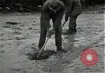 Standbild mine einfedern Wirtzfeld Belgien, 1944, aus Sekunde 28 historischem Filmmaterial Videoclip 65675026200