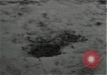 Standbild mine einfedern Wirtzfeld Belgien, 1944, aus Sekunde 32 historischem Filmmaterial Videoclip 65675026200