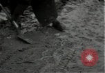 Standbild mine einfedern Wirtzfeld Belgien, 1944, aus Sekunde 47 historischem Filmmaterial Videoclip 65675026200