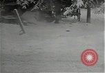 Standbild Weasel M 29 Sourbrodt Belgien, 1945, aus Sekunde 35 historischem Filmmaterial Videoclip 65675026208