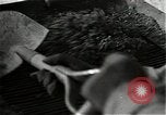 Image des ingénieurs des États-Unis Saarlautern Allemagne, 1944, de la seconde 25 séquences d'archives historiques vidéo 65675026212