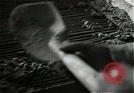 Image des ingénieurs des États-Unis Saarlautern Allemagne, 1944, de la seconde 31 séquences d'archives historiques vidéo 65675026212