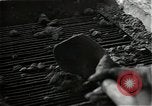 Image des ingénieurs des États-Unis Saarlautern Allemagne, 1944, de la seconde 33 séquences d'archives historiques vidéo 65675026212