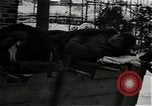 Image Première armée des États-Unis Weywertz Belgique, 1945, de la seconde 36 séquences d'archives historiques vidéo 65675026213