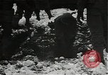 Image 99e division Butgenbach Belgique, 1944, de la seconde 18 séquences d'archives historiques vidéo 65675026214