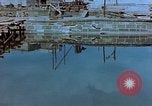 Image of bomb damaged buildings Berlin Germany, 1945, second 59 stock footage video 65675026246