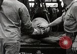 Standbild Marines verfügen über riesige unexploded shell Iwo Jima, 1945, aus Sekunde 22 historischem Filmmaterial Videoclip 65675026259