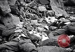 Image of Fallen Japanese soldiers among rocks Iwo Jima, 1945, second 30 stock footage video 65675026273