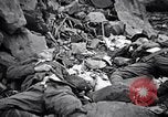 Image of Fallen Japanese soldiers among rocks Iwo Jima, 1945, second 34 stock footage video 65675026273