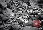 Image of Fallen Japanese soldiers among rocks Iwo Jima, 1945, second 35 stock footage video 65675026273