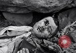 Image of Fallen Japanese soldiers among rocks Iwo Jima, 1945, second 47 stock footage video 65675026273