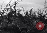 Image of Japanese soldiers surrender to marines Iwo Jima, 1945, second 3 stock footage video 65675026276