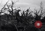 Image of Japanese soldiers surrender to marines Iwo Jima, 1945, second 4 stock footage video 65675026276