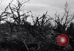 Image of Japanese soldiers surrender to marines Iwo Jima, 1945, second 6 stock footage video 65675026276