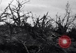 Image of Japanese soldiers surrender to marines Iwo Jima, 1945, second 7 stock footage video 65675026276