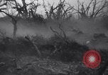 Image of Japanese soldiers surrender to marines Iwo Jima, 1945, second 10 stock footage video 65675026276