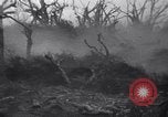 Image of Japanese soldiers surrender to marines Iwo Jima, 1945, second 11 stock footage video 65675026276