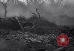Image of Japanese soldiers surrender to marines Iwo Jima, 1945, second 12 stock footage video 65675026276
