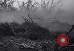 Image of Japanese soldiers surrender to marines Iwo Jima, 1945, second 13 stock footage video 65675026276