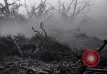 Image of Japanese soldiers surrender to marines Iwo Jima, 1945, second 15 stock footage video 65675026276