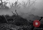 Image of Japanese soldiers surrender to marines Iwo Jima, 1945, second 16 stock footage video 65675026276