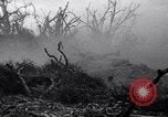 Image of Japanese soldiers surrender to marines Iwo Jima, 1945, second 17 stock footage video 65675026276
