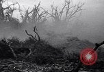Image of Japanese soldiers surrender to marines Iwo Jima, 1945, second 18 stock footage video 65675026276