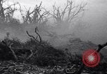 Image of Japanese soldiers surrender to marines Iwo Jima, 1945, second 19 stock footage video 65675026276