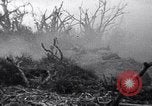 Image of Japanese soldiers surrender to marines Iwo Jima, 1945, second 20 stock footage video 65675026276