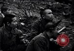 Image of Japanese soldiers surrender to marines Iwo Jima, 1945, second 21 stock footage video 65675026276