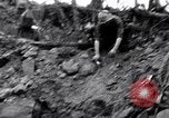 Image of Japanese soldiers surrender to marines Iwo Jima, 1945, second 34 stock footage video 65675026276