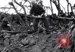 Image of Japanese soldiers surrender to marines Iwo Jima, 1945, second 35 stock footage video 65675026276