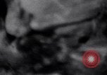 Image of Japanese soldiers surrender to marines Iwo Jima, 1945, second 39 stock footage video 65675026276