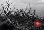 Image of Japanese soldiers surrender to marines Iwo Jima, 1945, second 41 stock footage video 65675026276